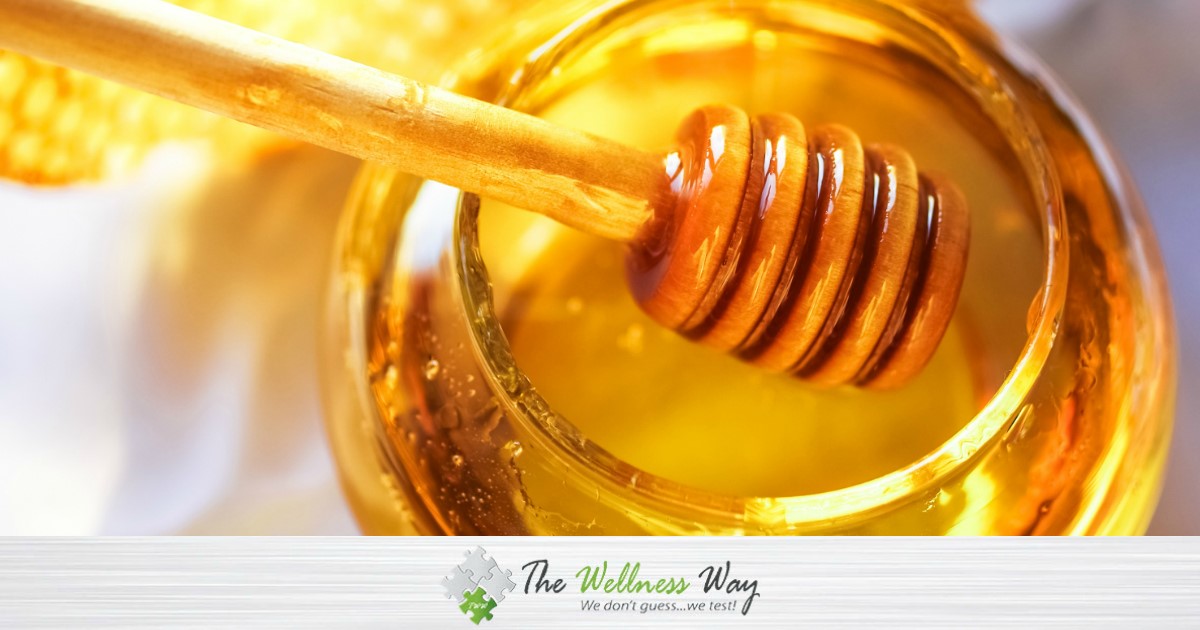  Local Raw Honey Benefits Live Oak Preserve Tampa FL